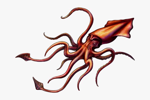 Kraken рабочий