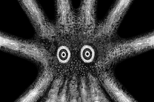 Kraken 26at