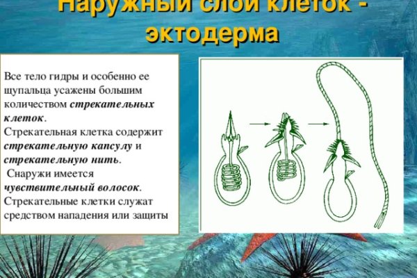 Кракен наркошоп сайт