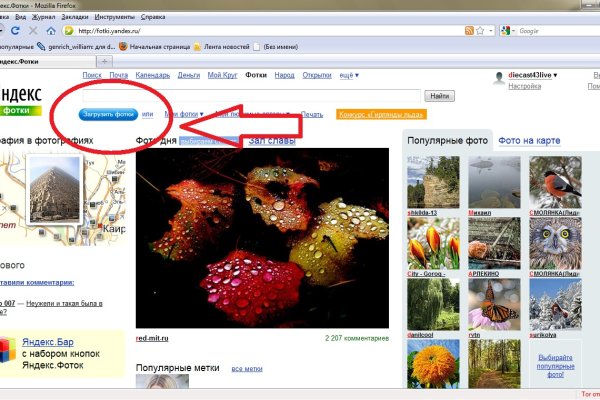 Рабочая ссылка кракен в тор