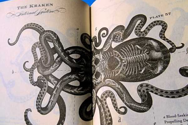 Kraken whitenet market ссылка