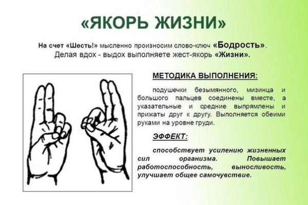 Какая ссылка у кракена