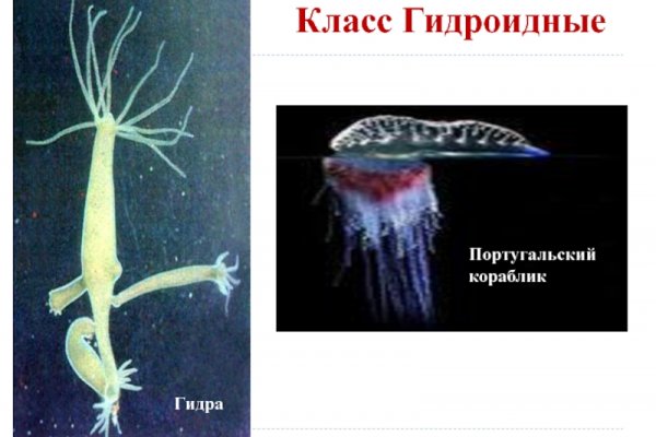 Как зайти на кракен через браузер