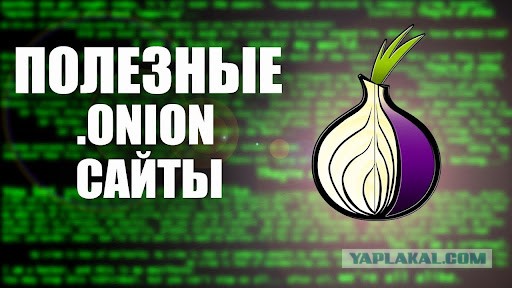 Kraken рабочий